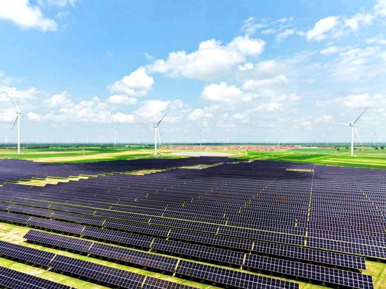 場區(qū)照片。張東強 攝.jpeg